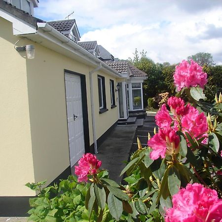 Harbour View Bed & Breakfast Kenmare Exterior foto