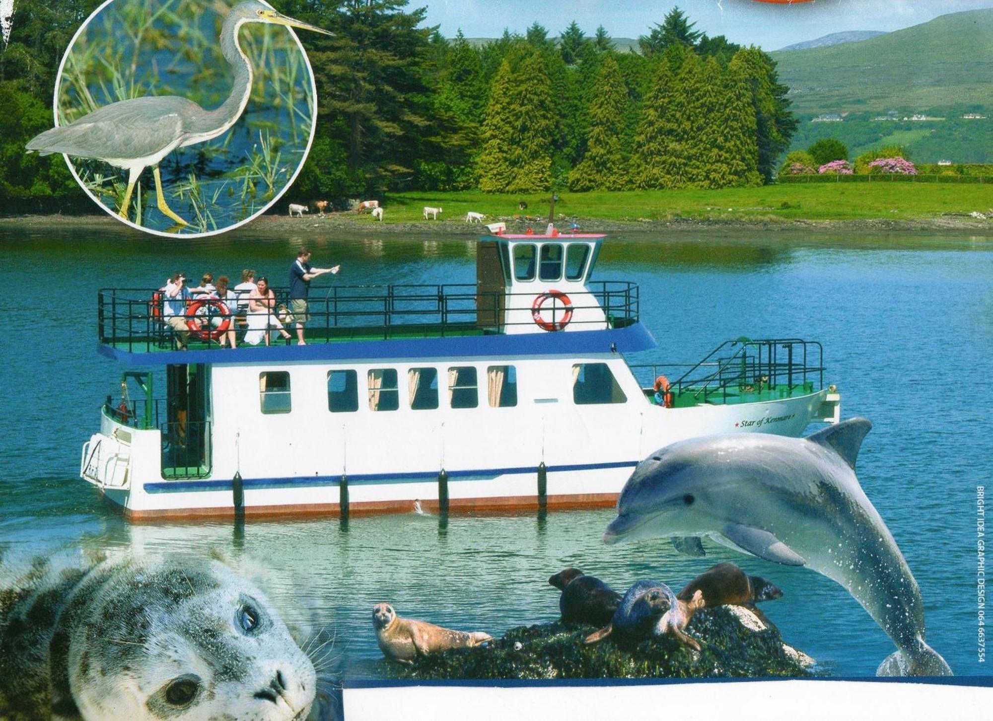 Harbour View Bed & Breakfast Kenmare Exterior foto