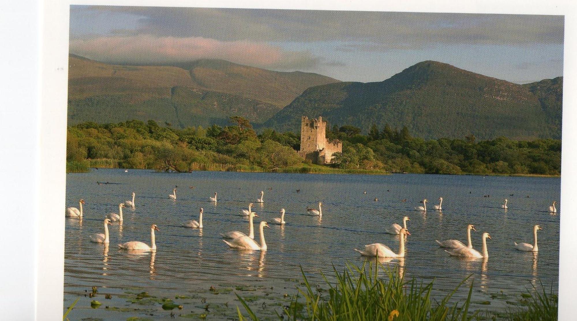 Harbour View Bed & Breakfast Kenmare Exterior foto